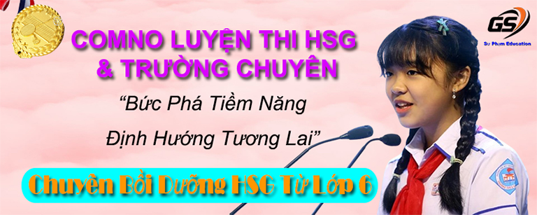 gia sư online cho học sinh giỏi và trường chuyên