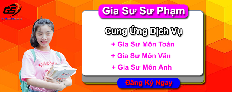 gia sư online toán lý hóa